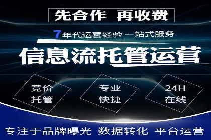 SEM专员实战案例解析